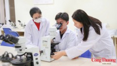 PVU gắn đào tạo, nghiên cứu với bài toán thực tiễn ngành năng lượng