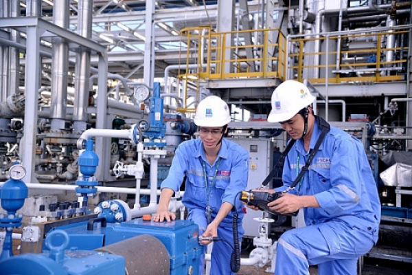 Nhờ chính sách hỗ trợ cổ phiếu DCM tăng vọt